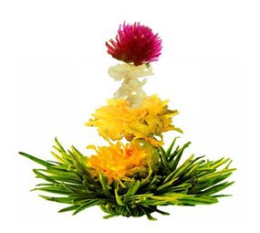 8 Spring Melody Theebloemen 8 Spring Melody Theebloemen