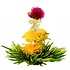 8 Spring Melody Teeblumen 8 Spring Melody Teeblumen