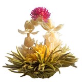 8 fleurs de Thé Endless love 8 fleurs de Thé Endless love