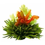 8 Fleurs de Thé Blossom Diamond 8 Fleurs de Thé Blossom Diamond