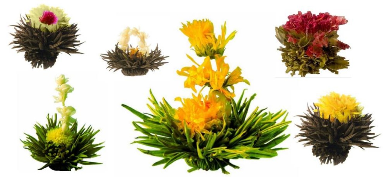 Luxusverpackung mit 6 Teeblumen Luxusverpackung mit 6 Teeblumen