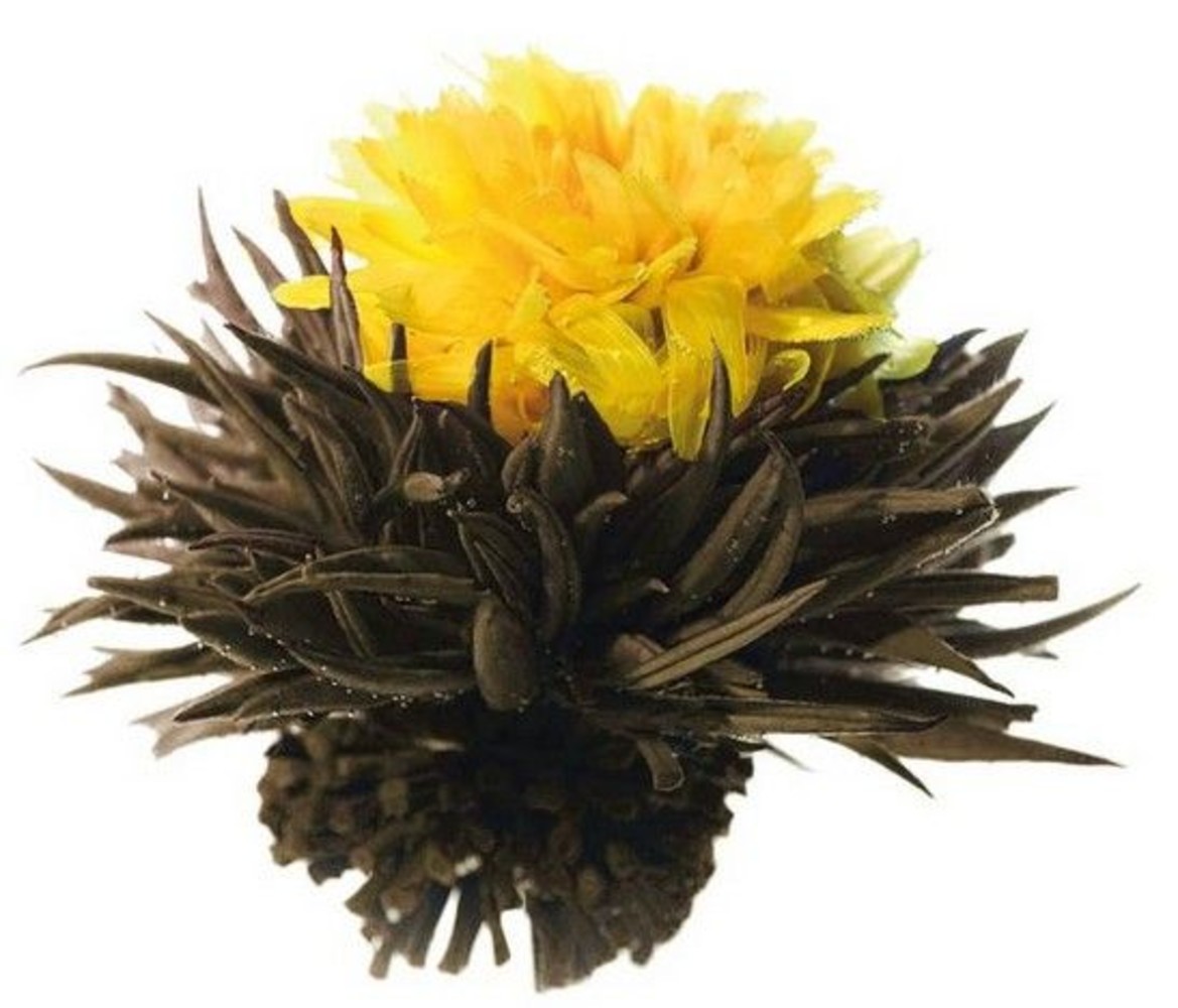 8 Autumn Whisper Teeblumen