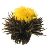 8 Autumn Whisper Teeblumen 8 Autumn Whisper Teeblumen