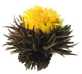 8 Autumn Whisper Theebloemen