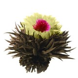 8 Fleurs de Thé Phoenix Eye 8 Fleurs de Thé Phoenix Eye