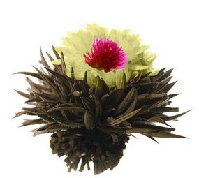 8 Phoenix Eye Teeblumen 8 Phoenix Eye Teeblumen