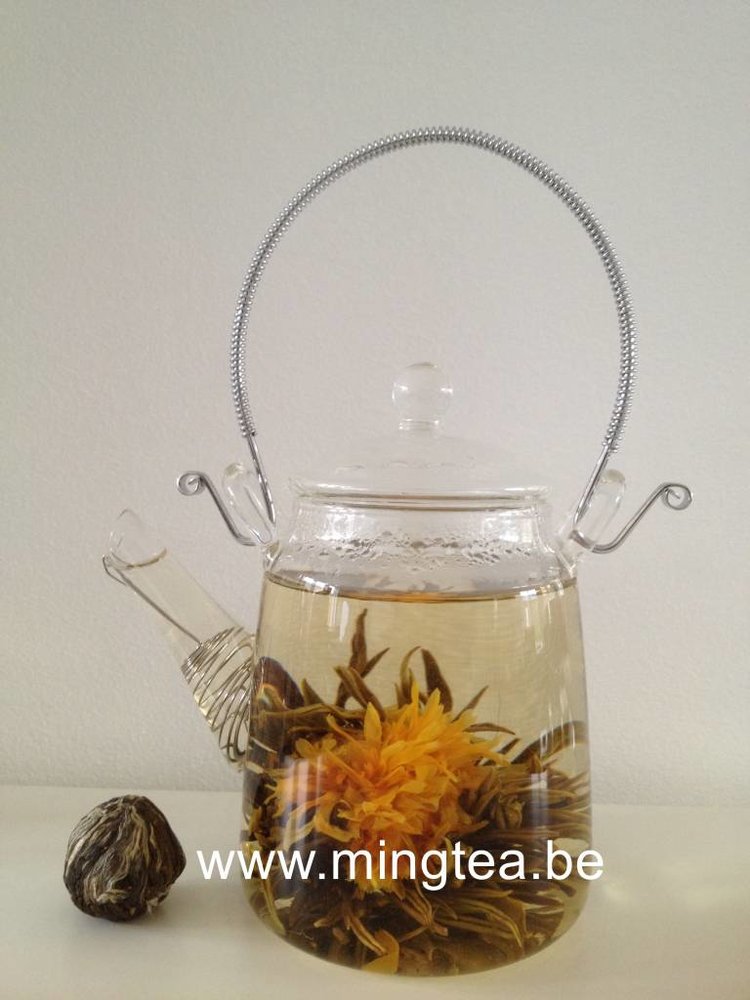 8 Autumn Whisper Teeblumen