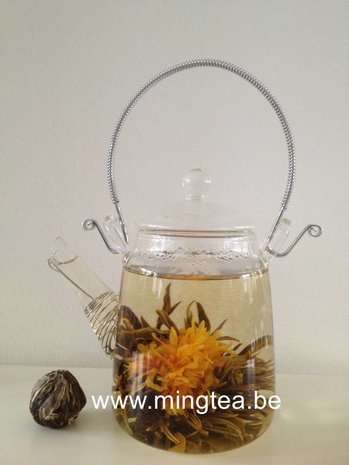 8 Autumn Whisper Teeblumen