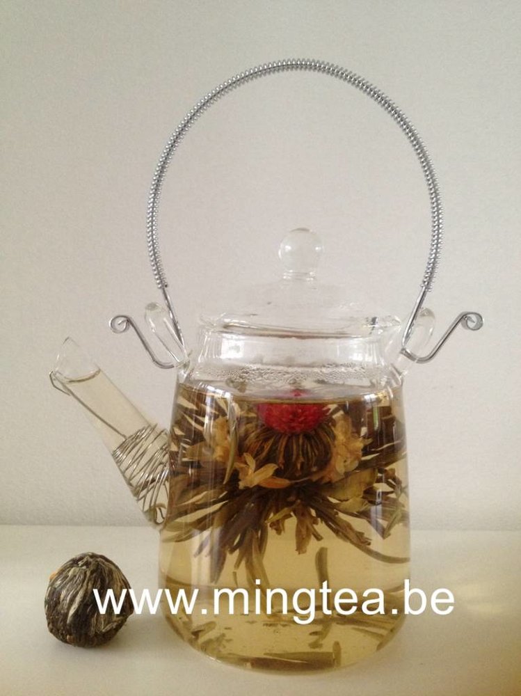 8 Phoenix Eye Theebloemen 8 Phoenix Eye Theebloemen
