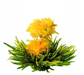 8 Golden Tower Theebloemen 8 Golden Tower Theebloemen