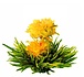 8 Golden Tower Theebloemen 8 Golden Tower Theebloemen