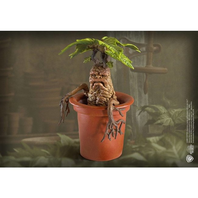 Harry Potter Magical Creatures Statue Mandrake 13 cm
