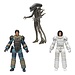 NECA  Alien Action Figure 18 cm 40th Anniversary Series 4 Assortment (3)