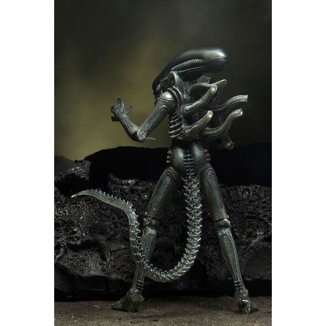 Alien Action Figure 18 cm 40th Anniversary Series 4 Assortment (3)