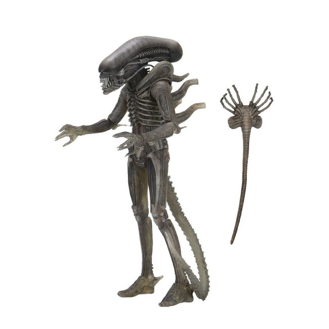 Alien Actionfigur 18 cm 40. Jubiläum Serie 4 Sortiment (3)
