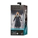 Hasbro Star Wars: Ahsoka Black Series Actionfigur Ahsoka Tano 15 cm