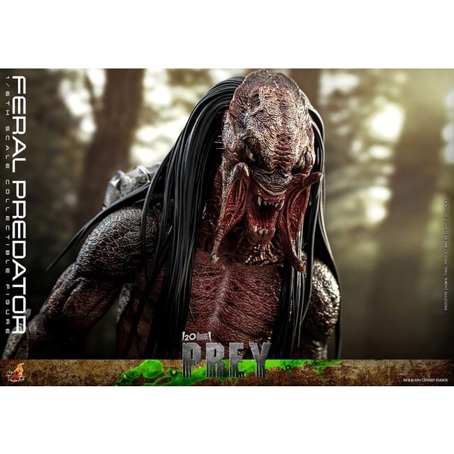 Prey Actionfigur 1/6 Feral Predator 37 cm