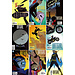 DC Comics Batgirl: Year One Complete Collection (9)