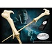 Noble Collection Harry Potter Wand Lord Voldemort (Character-Edition)