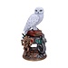 Nemesis Now Harry Potter Hedwig-Statue 22 cm