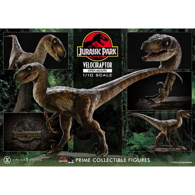 Jurassic Park Prime Collectibles Statue 1/10 Velociraptor Open Mouth 19 cm