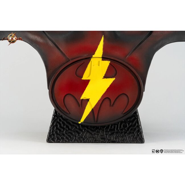 The Flash - Young Barry - Replik der Motorhaube im Maßstab 1:1