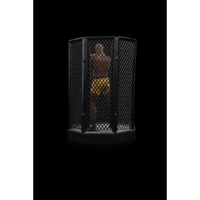 UFC Deluxe Art Scale Statue 1/10 Anderson "Spider" Silva - Signed Version 22 cm