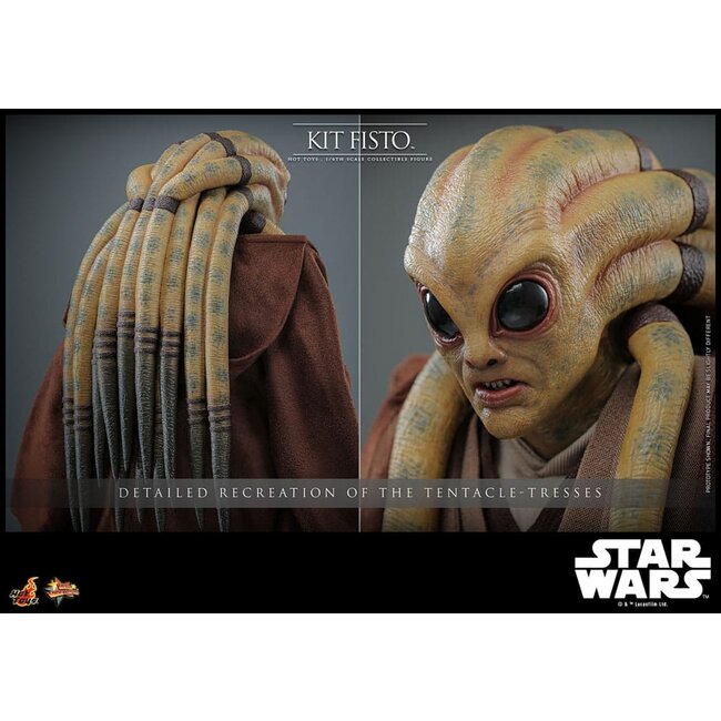 Star Wars Movie Masterpiece Actionfigur 1/6 Kit Fisto 32 cm