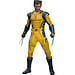 Hot Toys Deadpool & Wolverine MMS AF 1/6 Wolverine Deluxe 31 cm