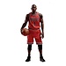 Enterbay NBA Collection Real Masterpiece Actionfigur 1/6 Derrick Rose Limitierte Retro Edition 30 cm