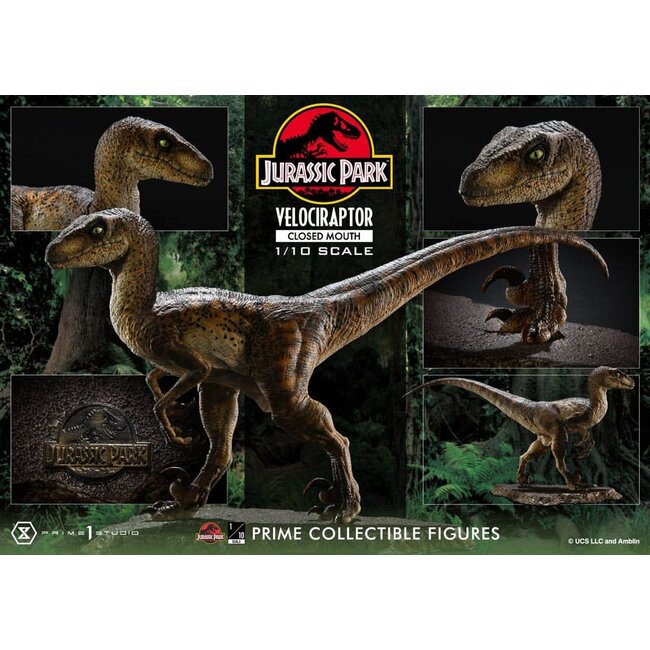 Jurassic Park Prime Collectibles Statue 1/10 Velociraptor Closed Mouth 19 cm