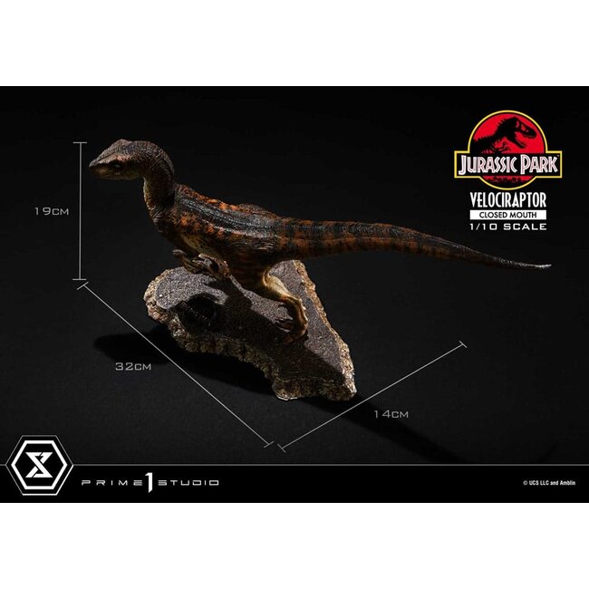 Jurassic Park Prime Collectibles Statue 1/10 Velociraptor Closed Mouth 19 cm