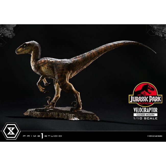 Jurassic Park Prime Collectibles Statue 1/10 Velociraptor Closed Mouth 19 cm