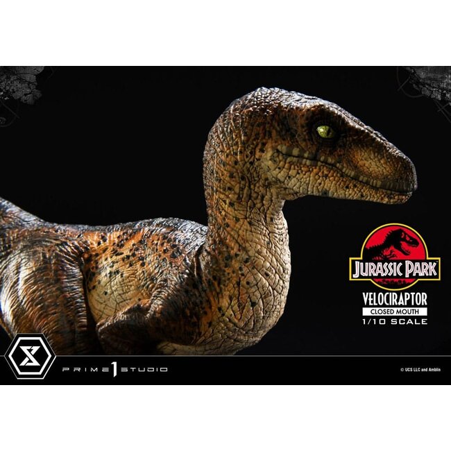 Jurassic Park Prime Collectibles Statue 1/10 Velociraptor Closed Mouth 19 cm
