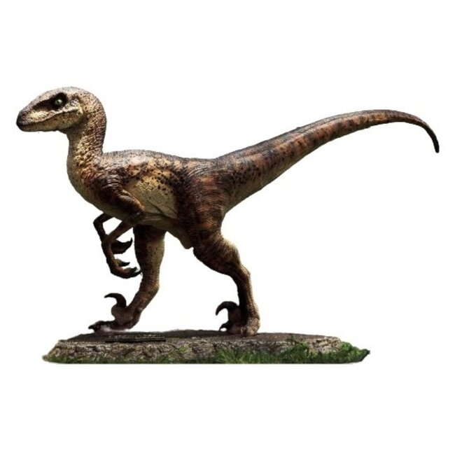 Prime 1 Studio Jurassic Park Prime Collectibles Statue 1/10 Velociraptor Closed Mouth 19 cm