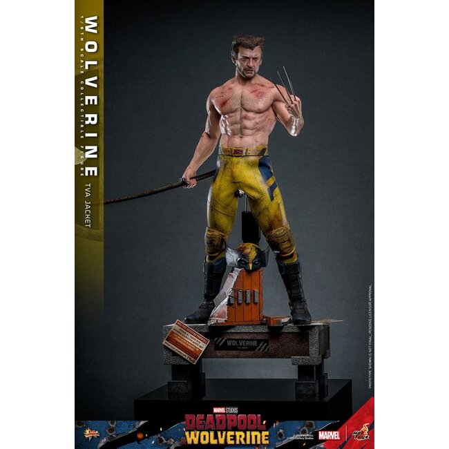 Deadpool & Wolverine Movie Masterpiece Action Figure 1/6 Wolverine (TVA Jacket Version) 31 cm