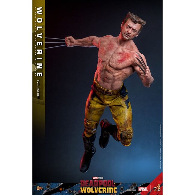 Deadpool & Wolverine Movie Masterpiece Action Figure 1/6 Wolverine (TVA Jacket Version) 31 cm