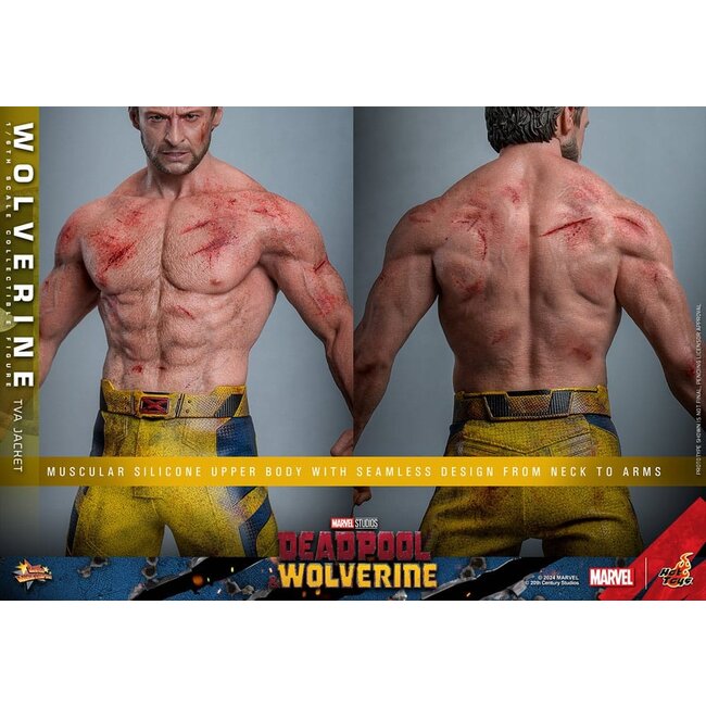 Deadpool & Wolverine Movie Masterpiece Action Figure 1/6 Wolverine (TVA Jacket Version) 31 cm
