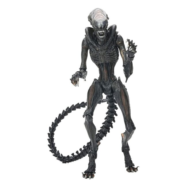 Alien: Romulus Ultimate Actiefiguur Scorched Xenomorph 23 cm