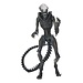 NECA  Alien: Romulus Ultimate Actionfigur Scorched Xenomorph 18 cm