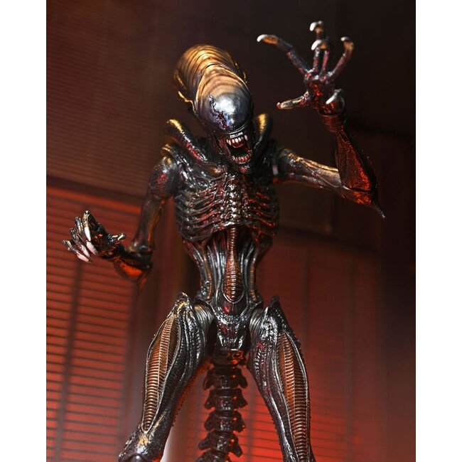 Alien: Romulus Ultimate Actiefiguur Scorched Xenomorph 23 cm