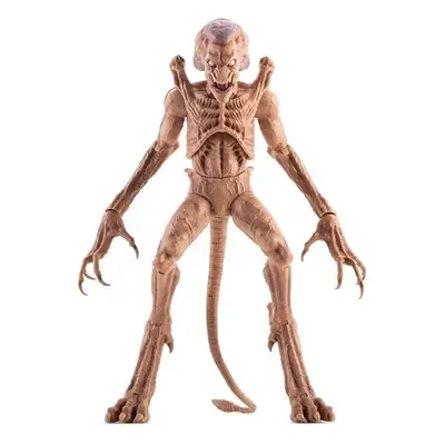 Pumpkinhead 