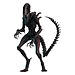 Hot Toys Alien: Romulus Movie Masterpiece Action Figure 1/6 Scorched Xenomorph 44 cm