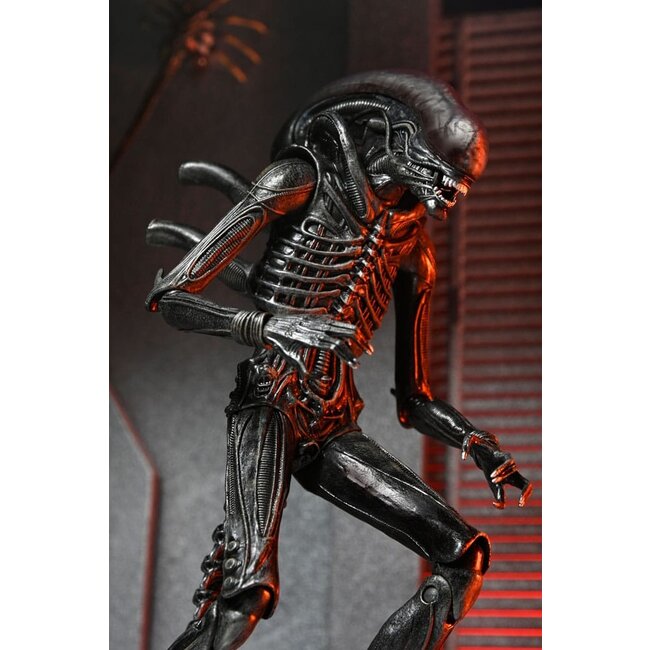 Alien: Romulus Actionfigur Ultimate Xenomorph XX121 18 cm