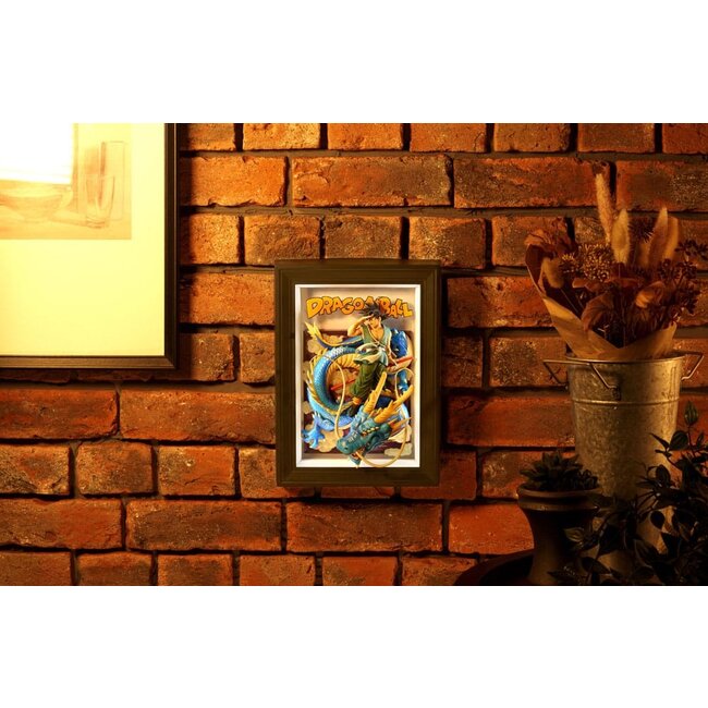 Dragon Ball Z Tamashii Art 3D Reliefbild Son Goku & Drache 27 cm