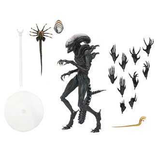 NECA  Alien: Romulus Ultimate Action Figure Scorched Xenomorph 23 cm