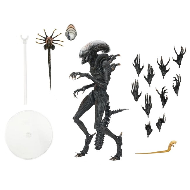 Alien: Romulus Ultimate Actiefiguur Scorched Xenomorph 23 cm