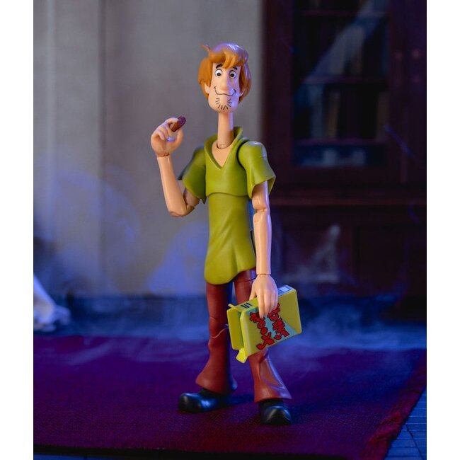 Scooby-Doo Actionfigur 1/12 Shaggy 15 cm