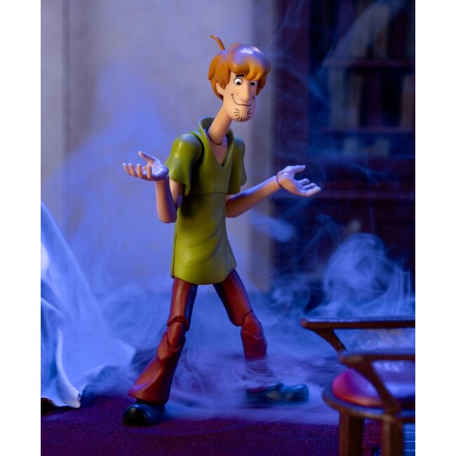 Scooby-Doo Actionfigur 1/12 Shaggy 15 cm