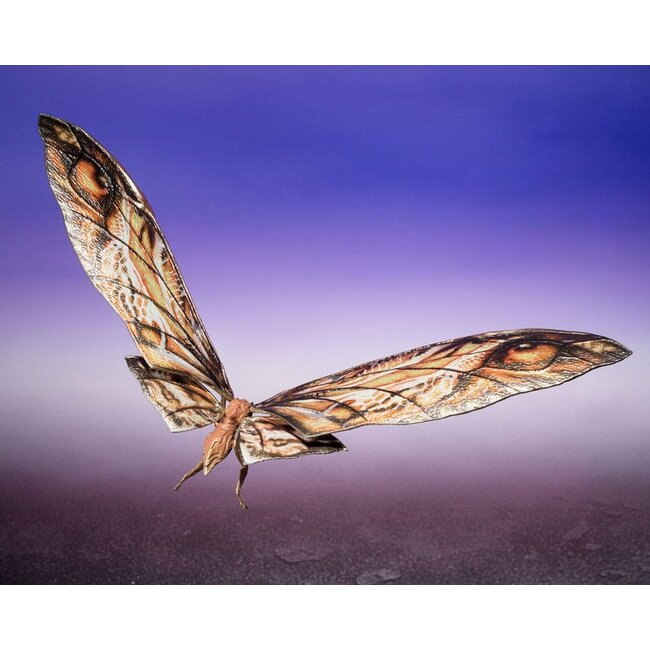 Godzilla x Kong: Das neue Imperium SH Monster Arts Actionfiguren 2er-Pack Suko & Mothra